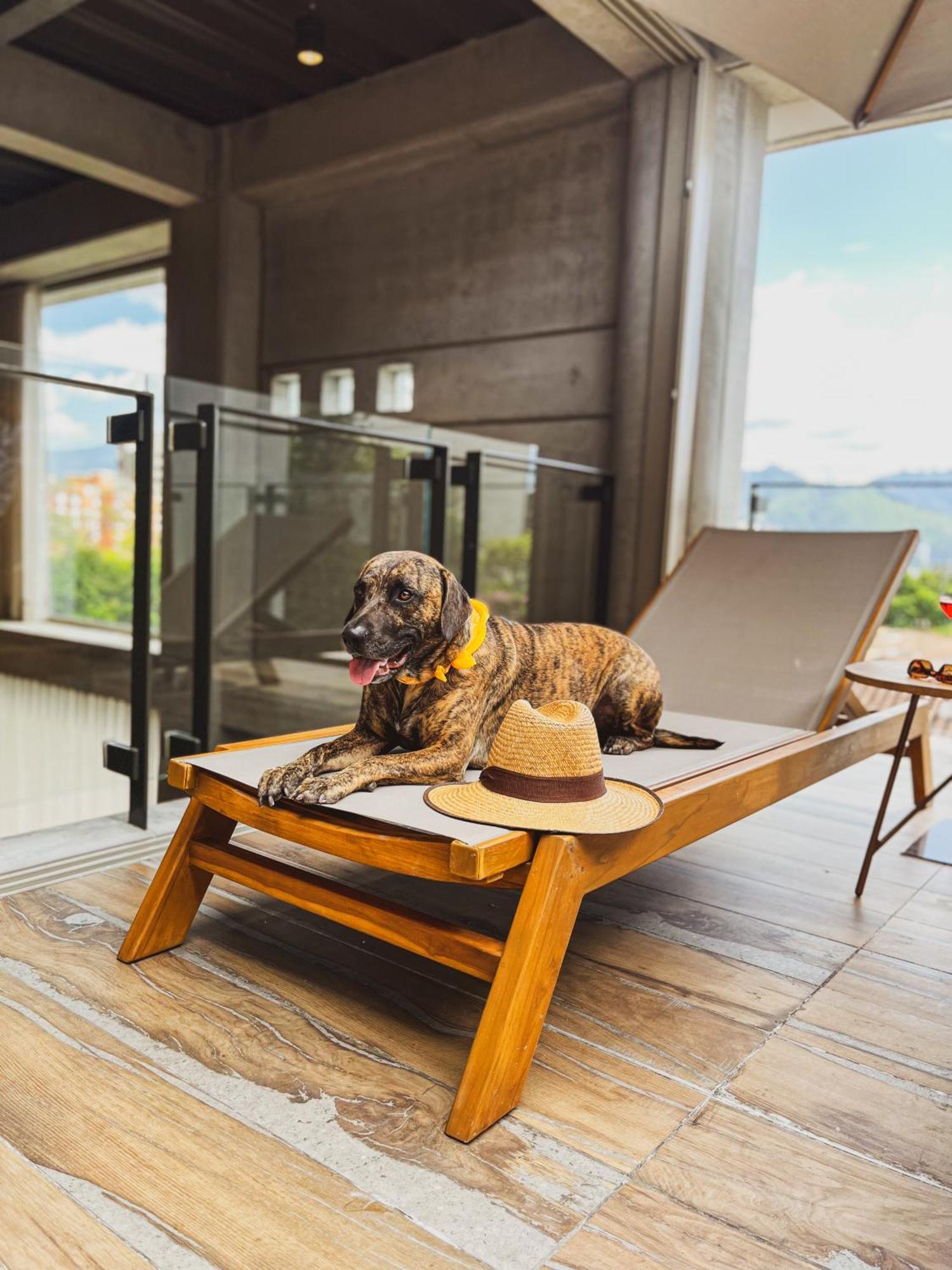 Topa House Apartment *